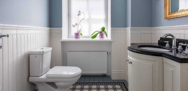 What causes rust in Toilet Bowls